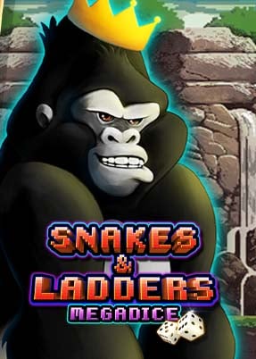 Snakes and Ladders Megadice™